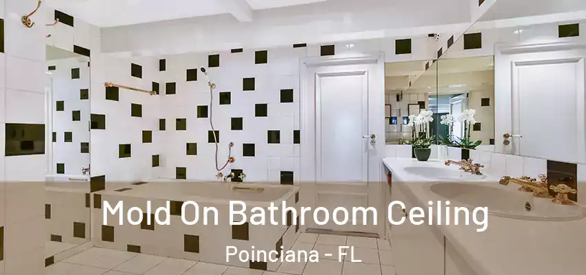 Mold On Bathroom Ceiling Poinciana - FL