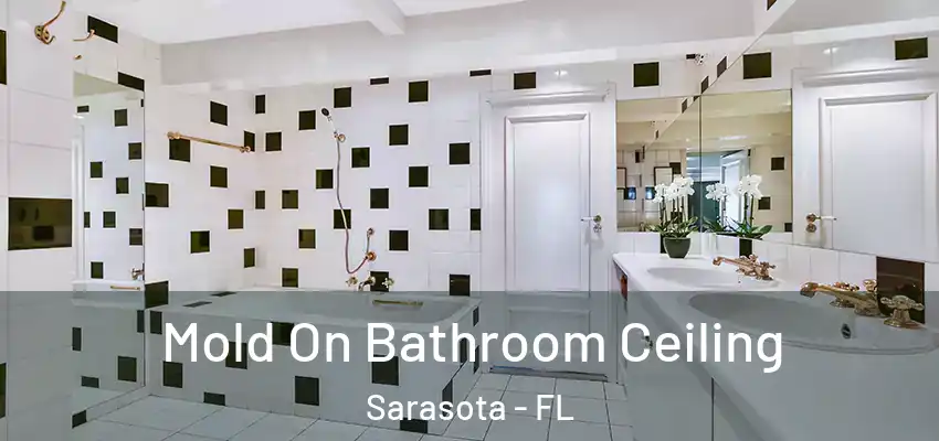  Mold On Bathroom Ceiling Sarasota - FL