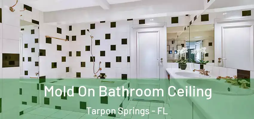 Mold On Bathroom Ceiling Tarpon Springs - FL