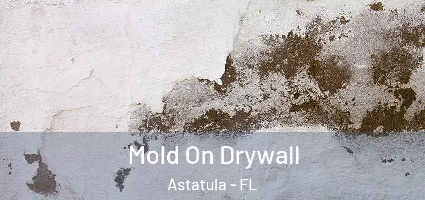  Mold On Drywall Astatula - FL