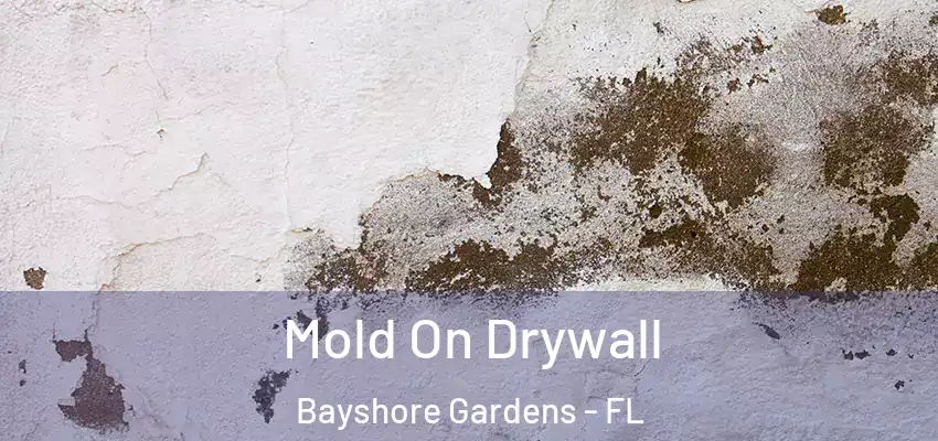  Mold On Drywall Bayshore Gardens - FL