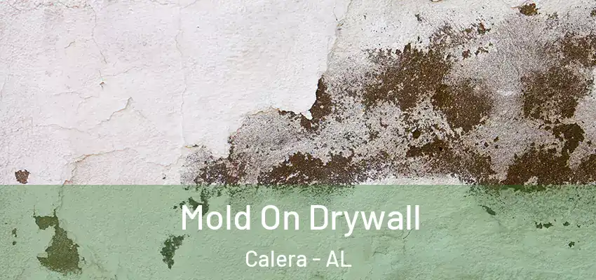  Mold On Drywall Calera - AL