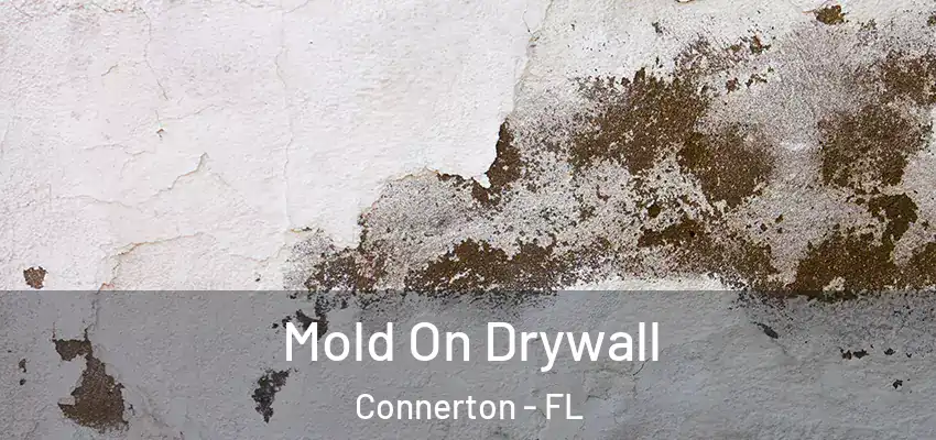  Mold On Drywall Connerton - FL