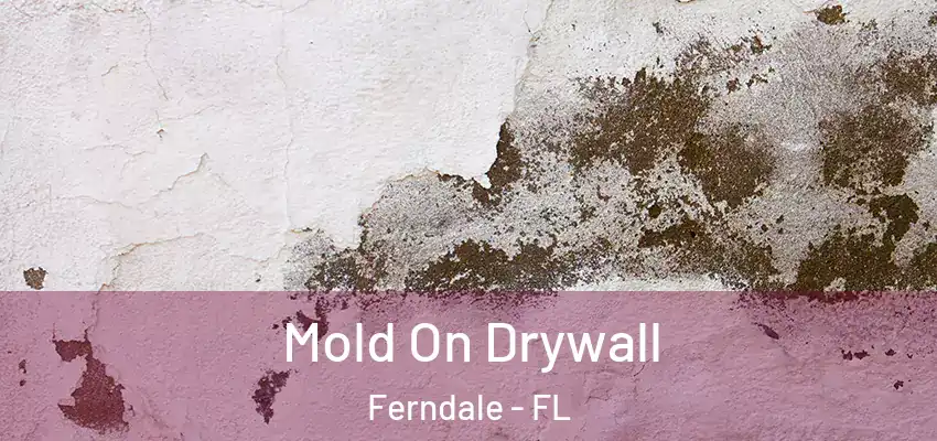  Mold On Drywall Ferndale - FL