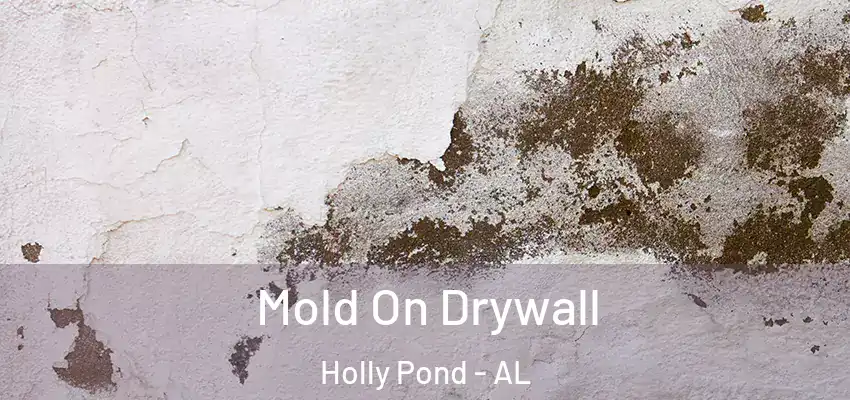 Mold On Drywall Holly Pond - AL