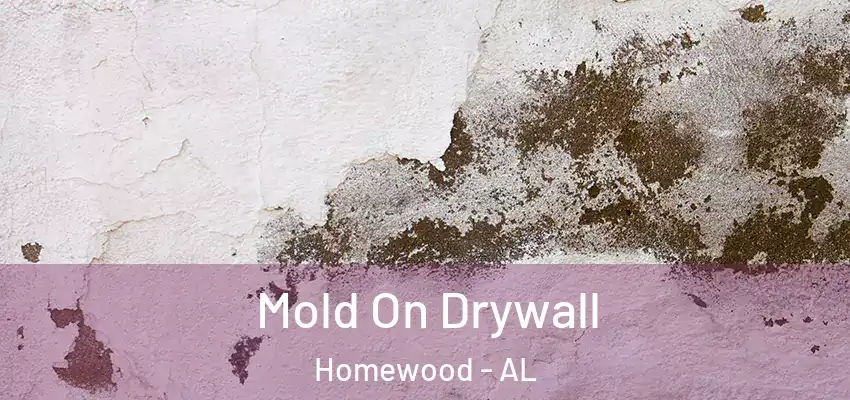  Mold On Drywall Homewood - AL