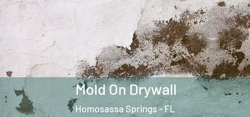  Mold On Drywall Homosassa Springs - FL
