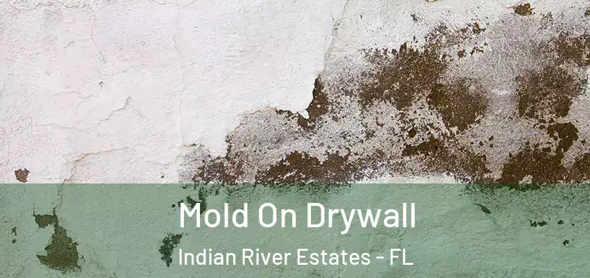  Mold On Drywall Indian River Estates - FL