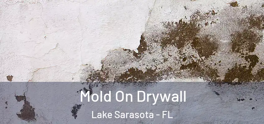 Mold On Drywall Lake Sarasota - FL
