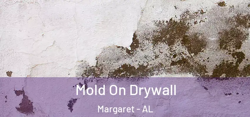  Mold On Drywall Margaret - AL