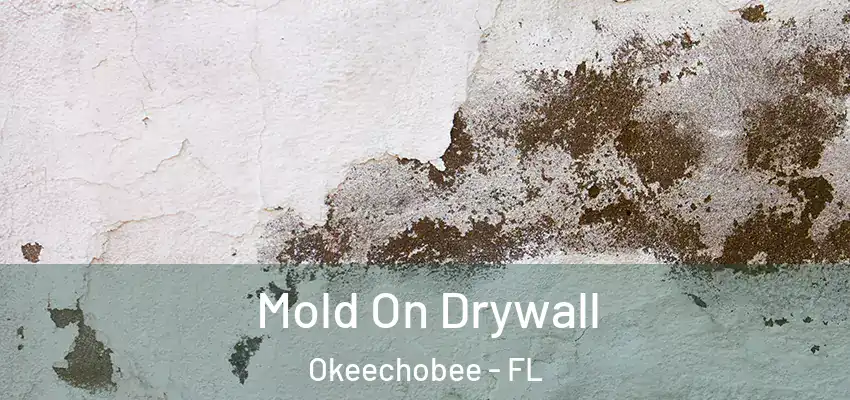  Mold On Drywall Okeechobee - FL