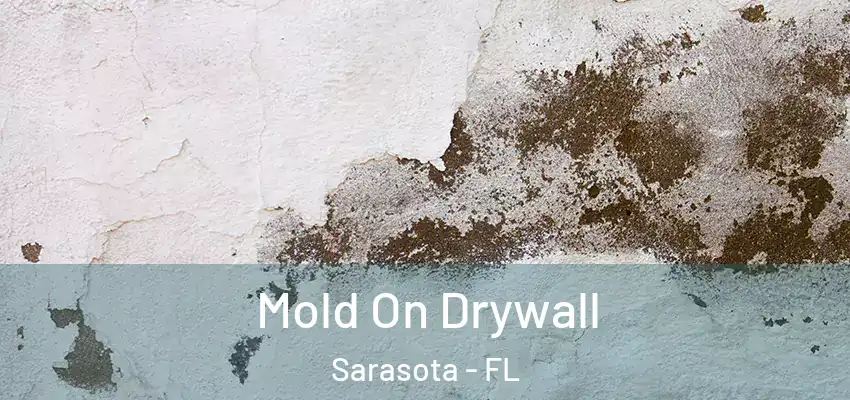  Mold On Drywall Sarasota - FL