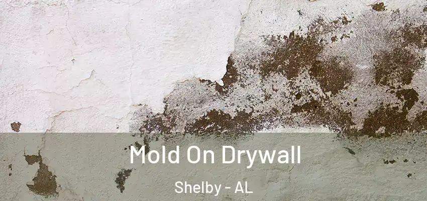  Mold On Drywall Shelby - AL