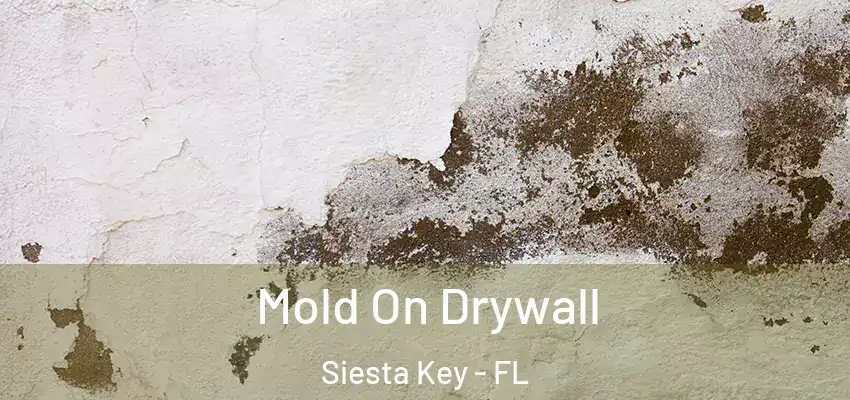  Mold On Drywall Siesta Key - FL