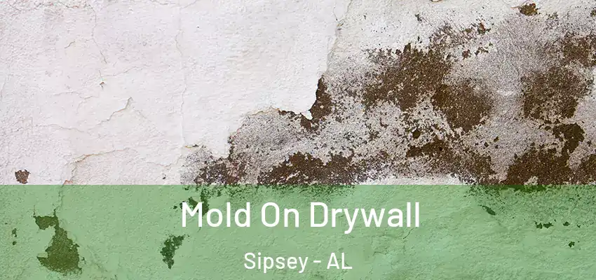  Mold On Drywall Sipsey - AL