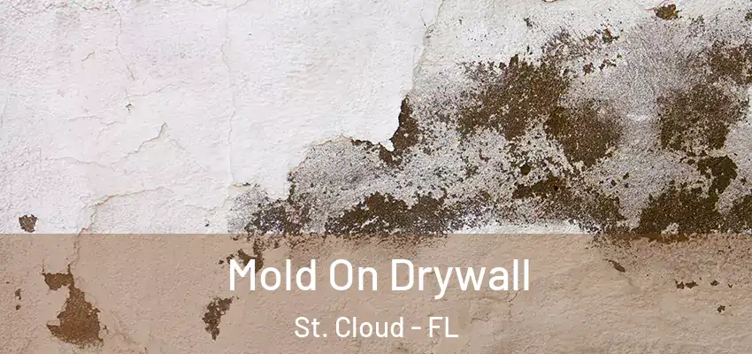  Mold On Drywall St. Cloud - FL