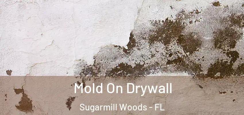  Mold On Drywall Sugarmill Woods - FL