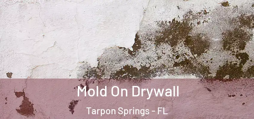  Mold On Drywall Tarpon Springs - FL