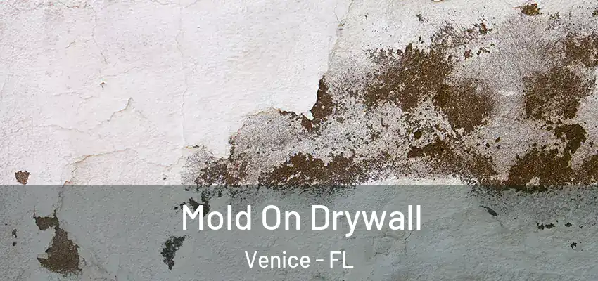  Mold On Drywall Venice - FL