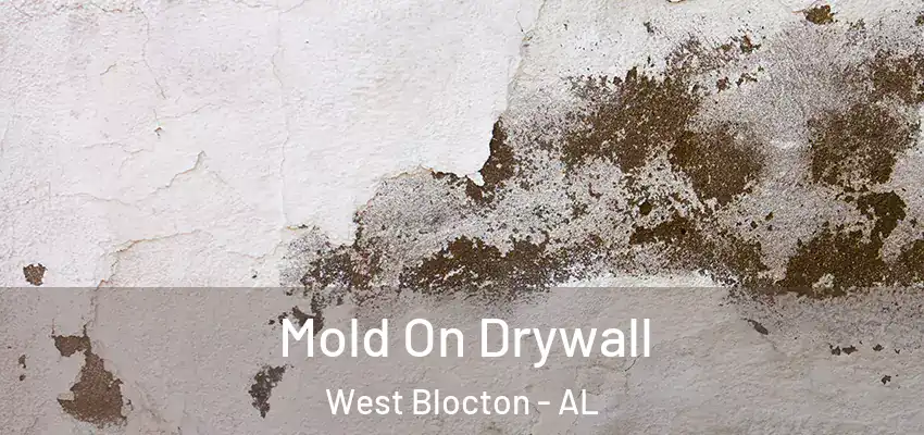  Mold On Drywall West Blocton - AL