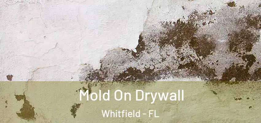  Mold On Drywall Whitfield - FL