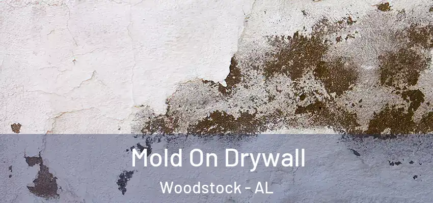 Mold On Drywall Woodstock - AL