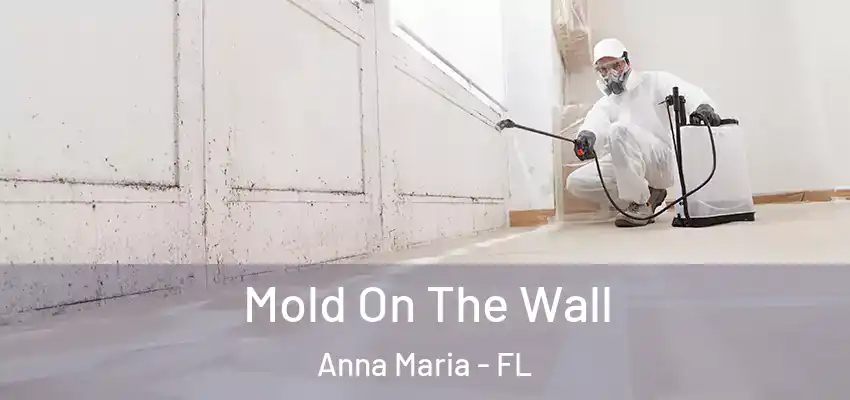  Mold On The Wall Anna Maria - FL