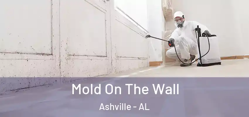  Mold On The Wall Ashville - AL