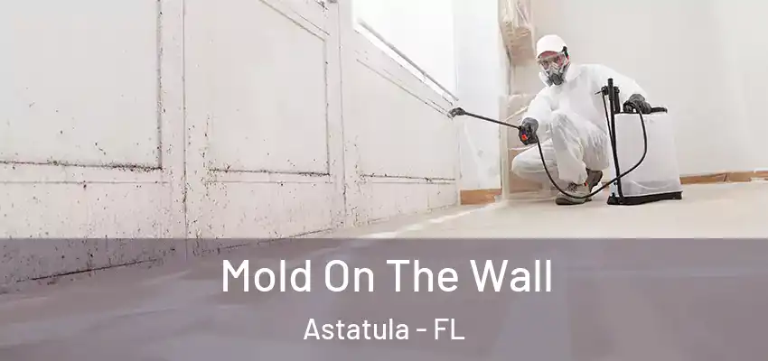  Mold On The Wall Astatula - FL