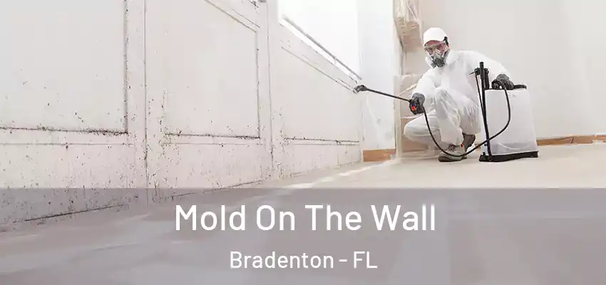  Mold On The Wall Bradenton - FL