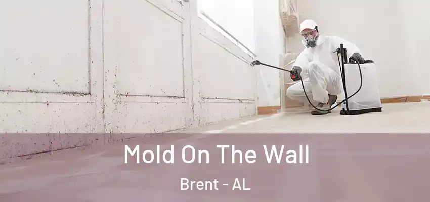  Mold On The Wall Brent - AL