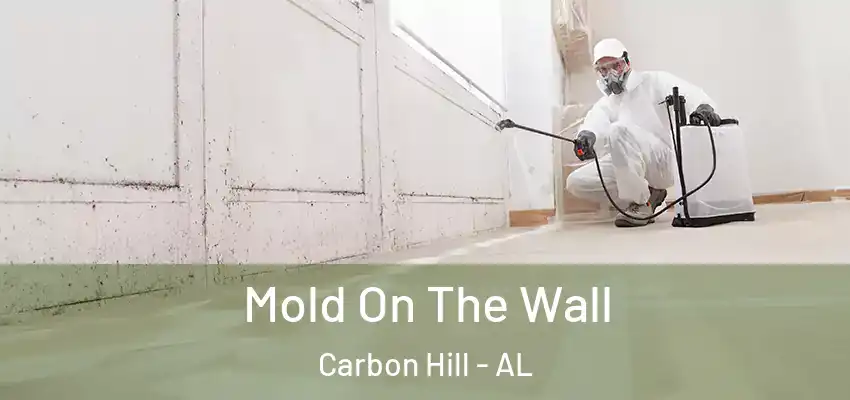 Mold On The Wall Carbon Hill - AL