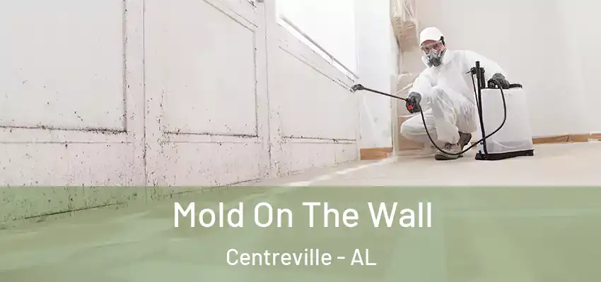  Mold On The Wall Centreville - AL