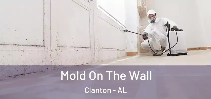  Mold On The Wall Clanton - AL