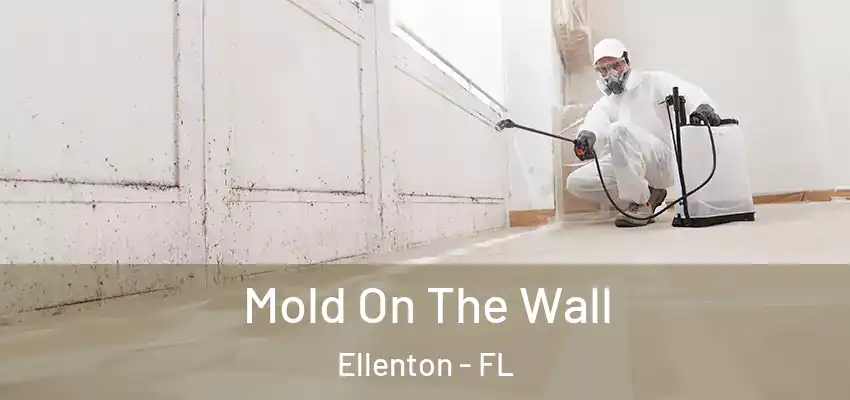  Mold On The Wall Ellenton - FL