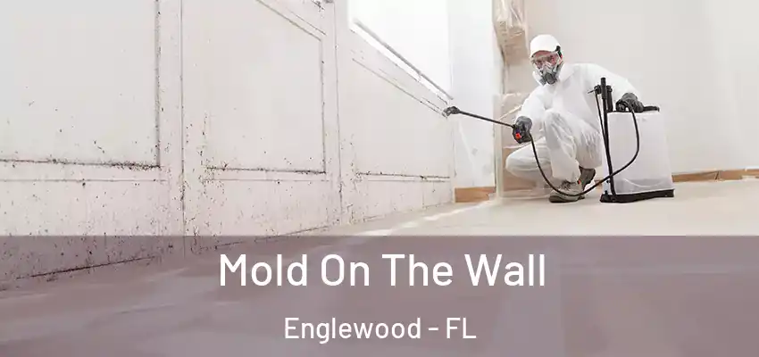  Mold On The Wall Englewood - FL