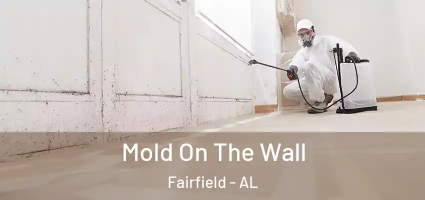  Mold On The Wall Fairfield - AL