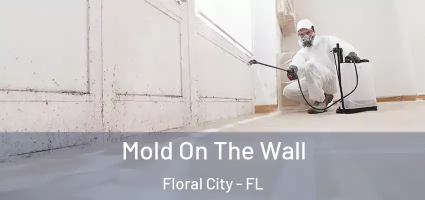 Mold On The Wall Floral City - FL