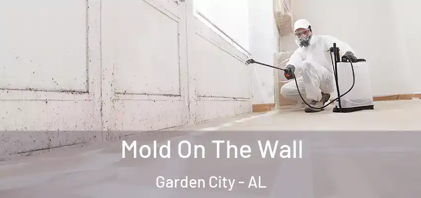 Mold On The Wall Garden City - AL