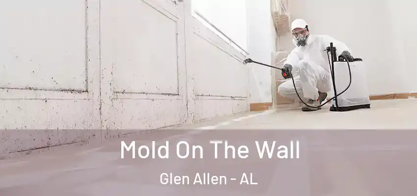 Mold On The Wall Glen Allen - AL