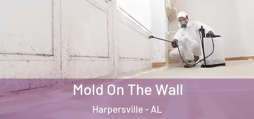  Mold On The Wall Harpersville - AL