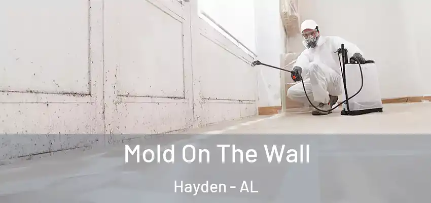  Mold On The Wall Hayden - AL