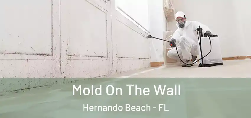 Mold On The Wall Hernando Beach - FL