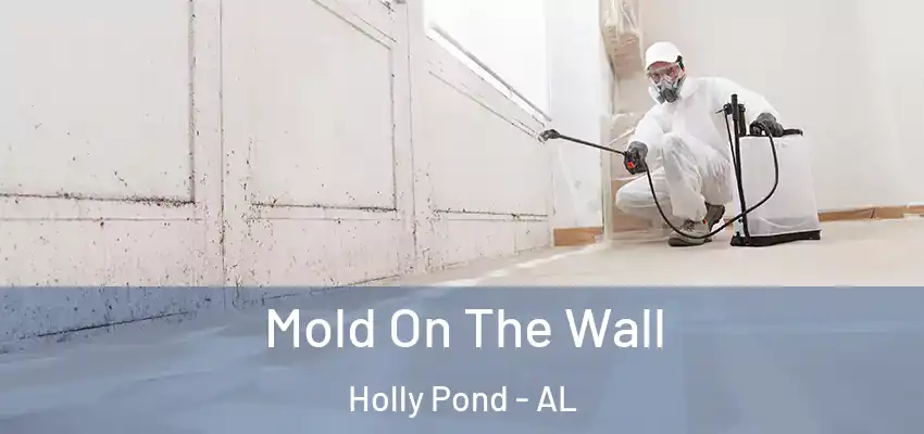  Mold On The Wall Holly Pond - AL