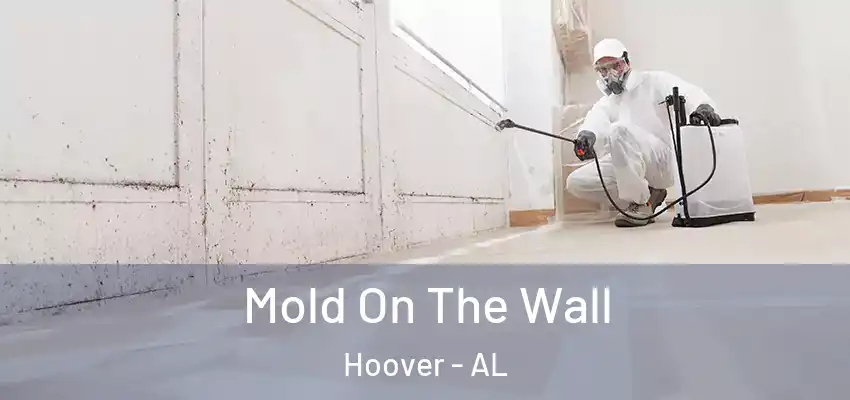 Mold On The Wall Hoover - AL