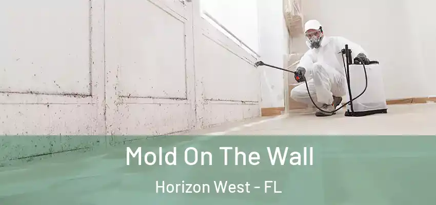  Mold On The Wall Horizon West - FL