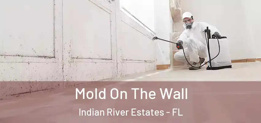  Mold On The Wall Indian River Estates - FL