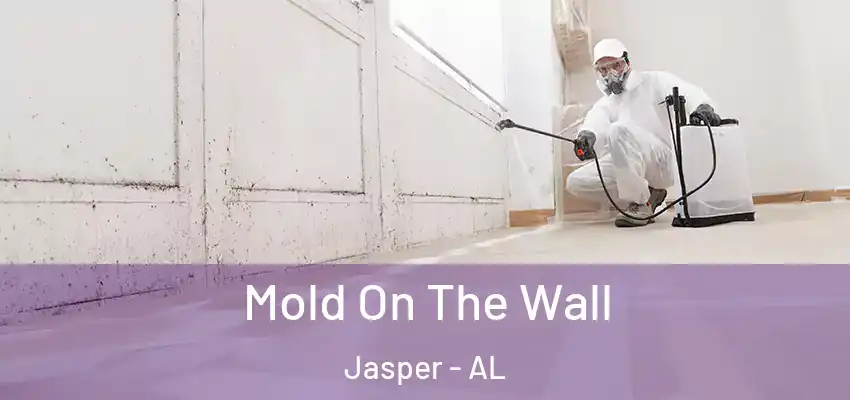  Mold On The Wall Jasper - AL