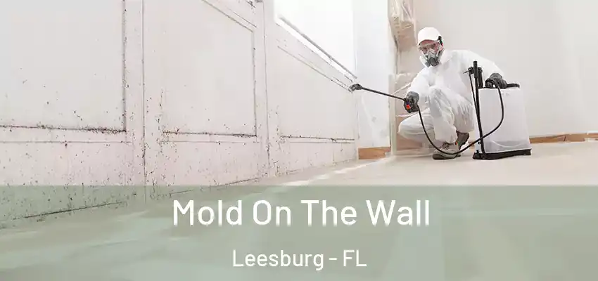  Mold On The Wall Leesburg - FL