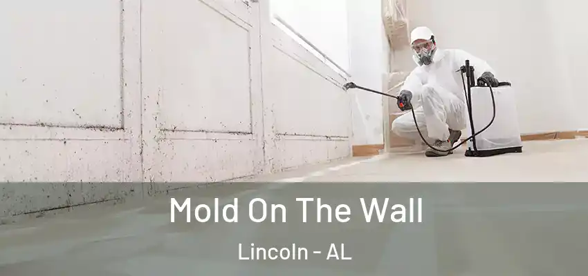  Mold On The Wall Lincoln - AL